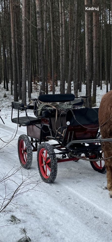 Bryczka konna - na sprzedaż