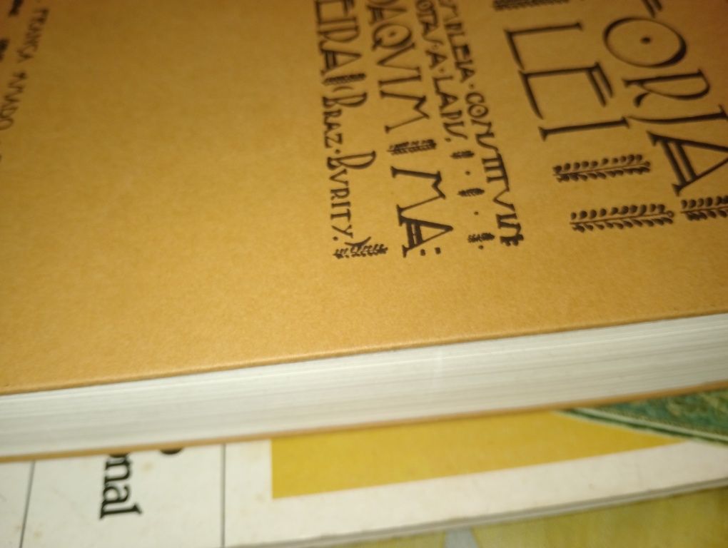 A forja da lei a assembleia constituinte em notas a lápis
