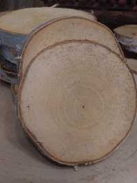 Plastry drewna brzozowego krążki brzozy szlif ok 13 cm