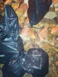 Lenha mistura sacos 20kg