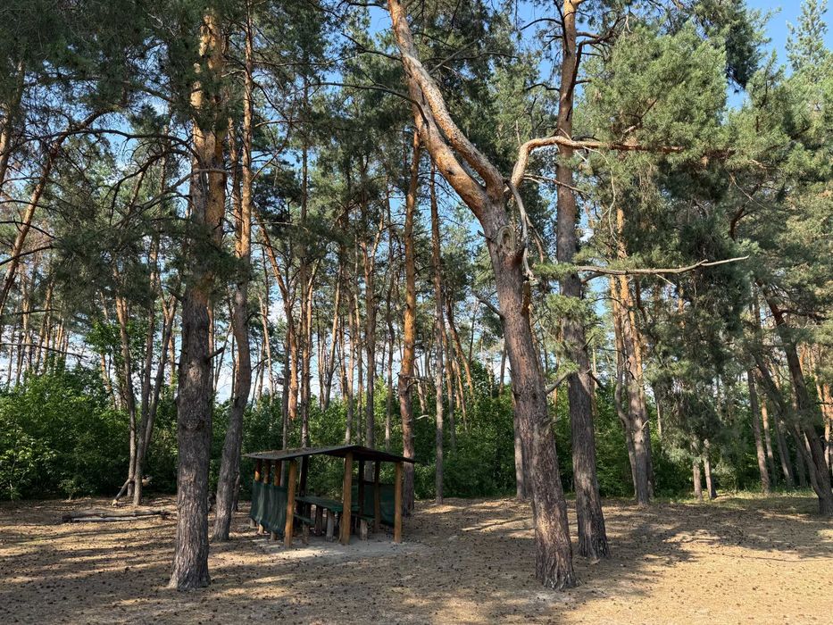 Продаж продам будинок в Царичанці Царичанка Центр Поділ ліс, річка