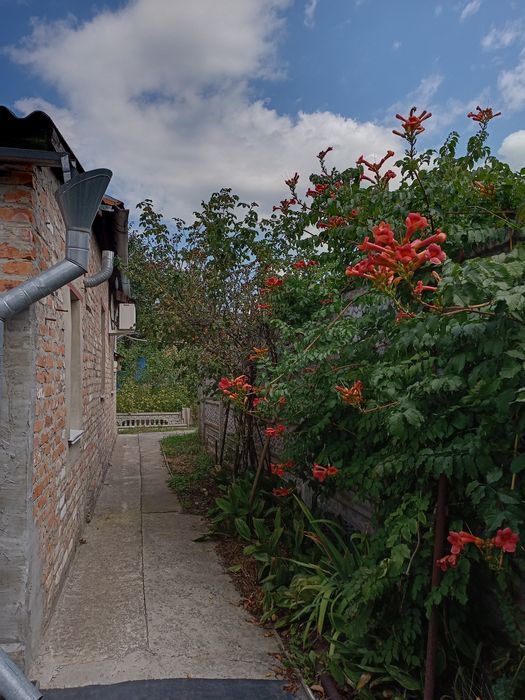 Будинок зі зручностями