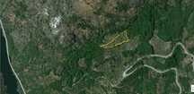 Terreno agrícola em Lagoaça (Rebolal)) - Olival com +/- 200 Oliveiras