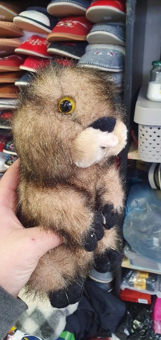 Świstak pluszak na fotokomórkę reaguje na ruch na baterie gwizda