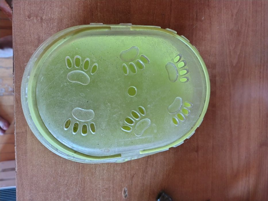 Переноска для хомяка , мыши , ящерицы