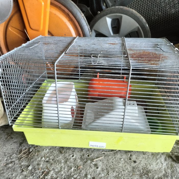 Klatka dla chomika szczura