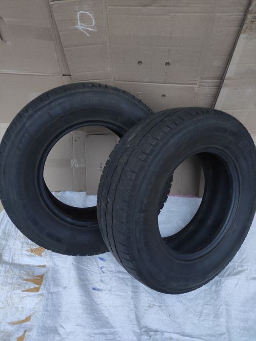 Шины Michelin Agilis Alpin 225/70R15C