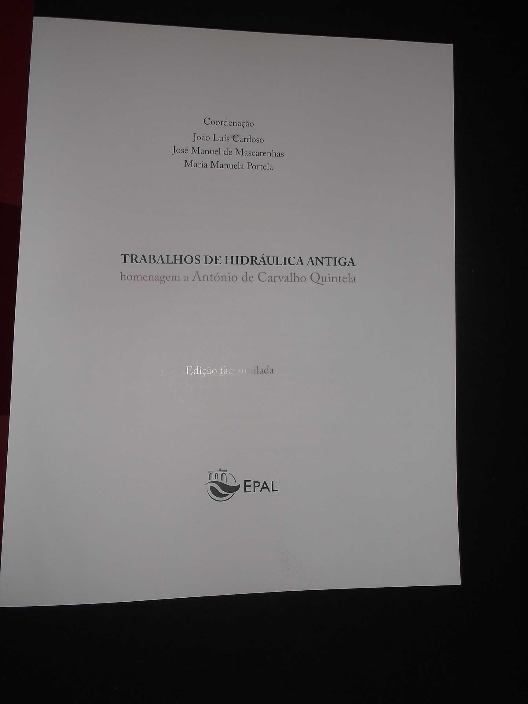 Trabalhos de Hidráulica em Homenagem a António de Carvalho Quintela