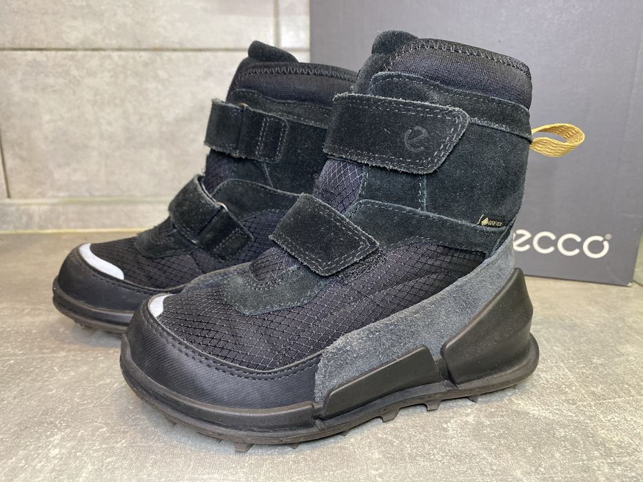 Зимові черевики Ecco Biom K2