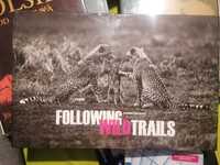 Tomasz Gudzowaty followings Wild trails album
