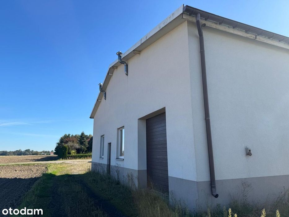 Hala magazynowa i tunel foliowy