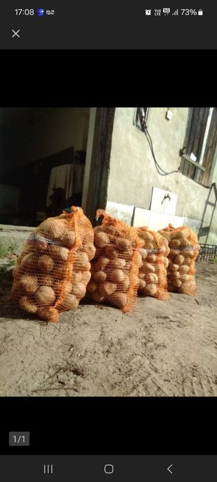 Witam sprzedam ziemniaki