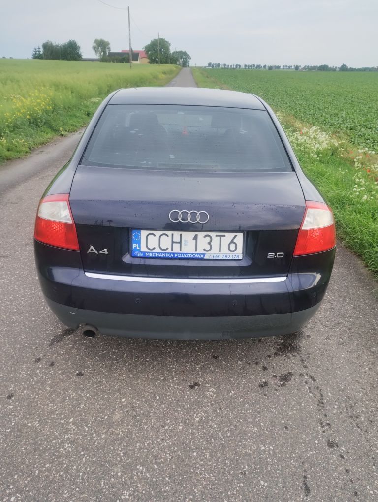 Audi A4 B6 nieuszkodzony