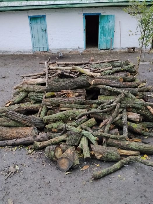 Продам дрова Самовивоз село Богодухівка