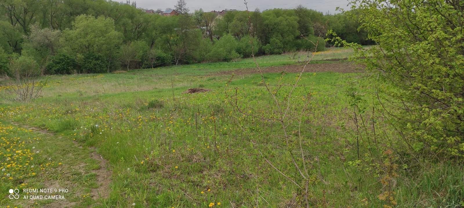 Земельна ділянка- Лезневе