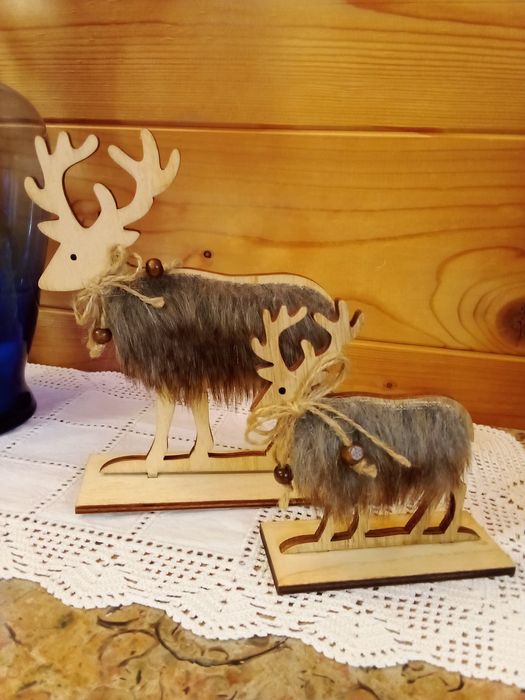 Renas Natal Madeira - Novas