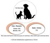 Pet Sitter Maria - a melhor companhia do seu cão ou gato