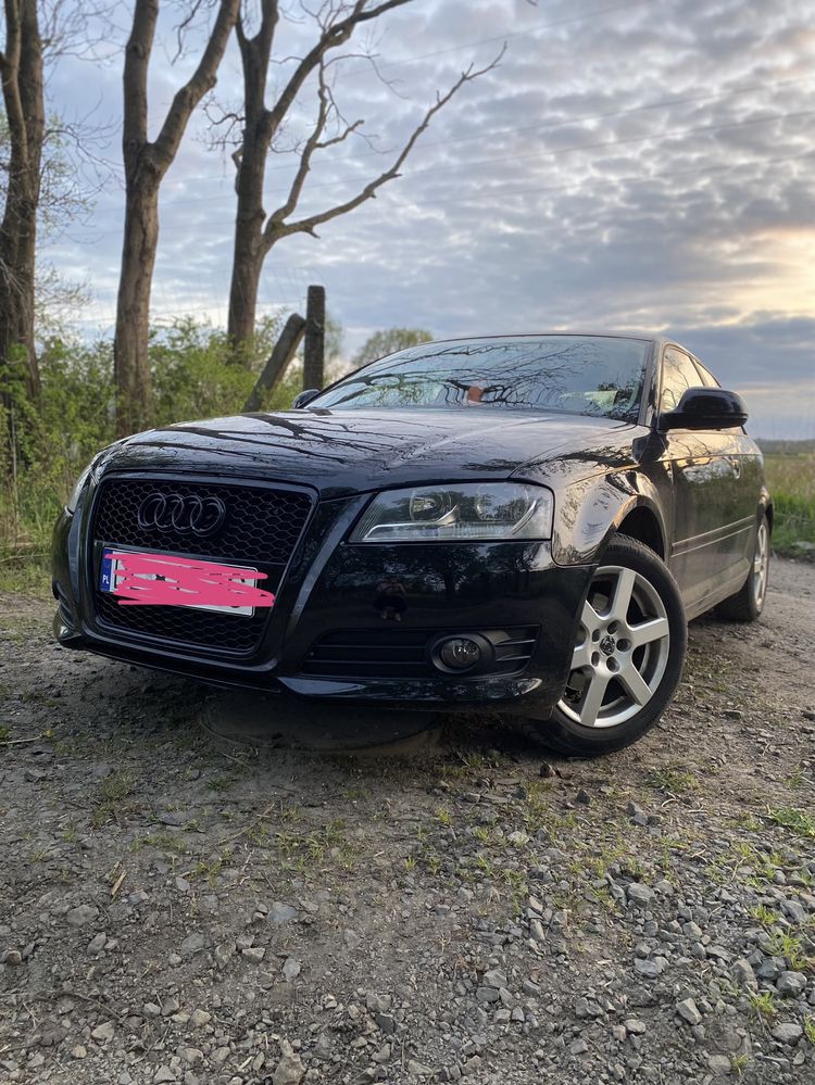 Audi a3 8p lift w gazie