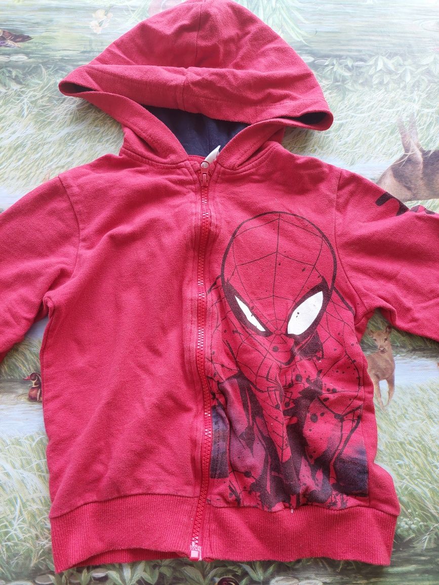 Bluza chłopięca Spider Man
