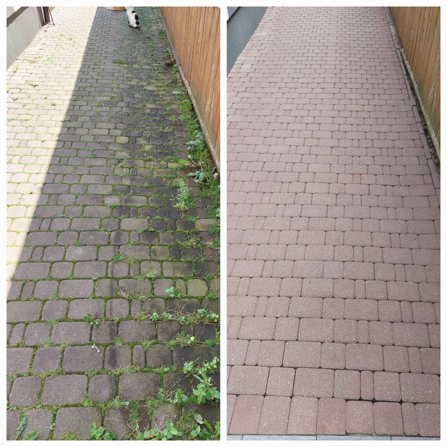 Mycie Kostki/Elewacji/Ogrodzeń