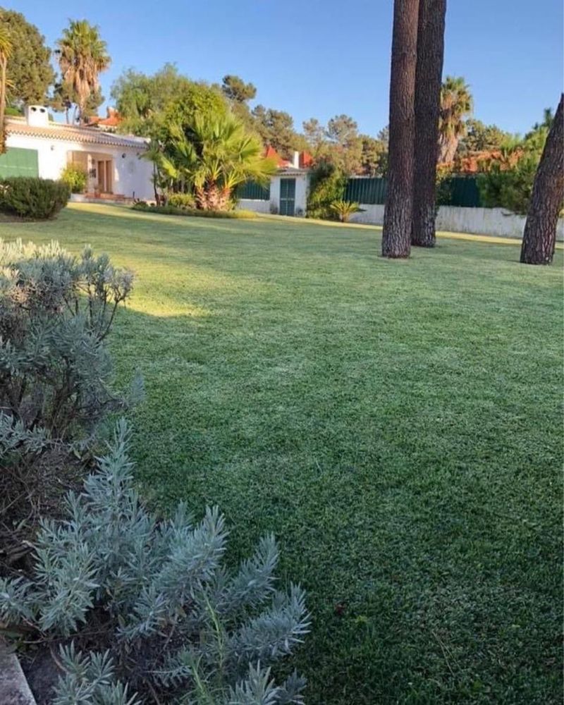 Jardineiro-Manutenção e remodelação de jardins e piscinas