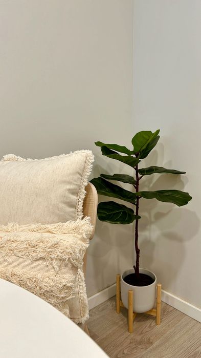 Ficus Lyrata artificial