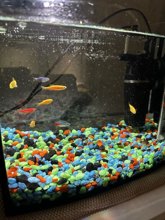 Аквариум для рыбок