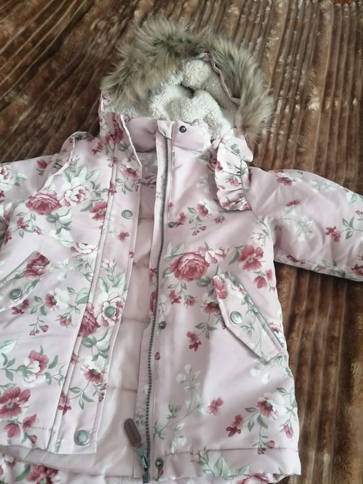 Kurka jesienno zimowa newbie