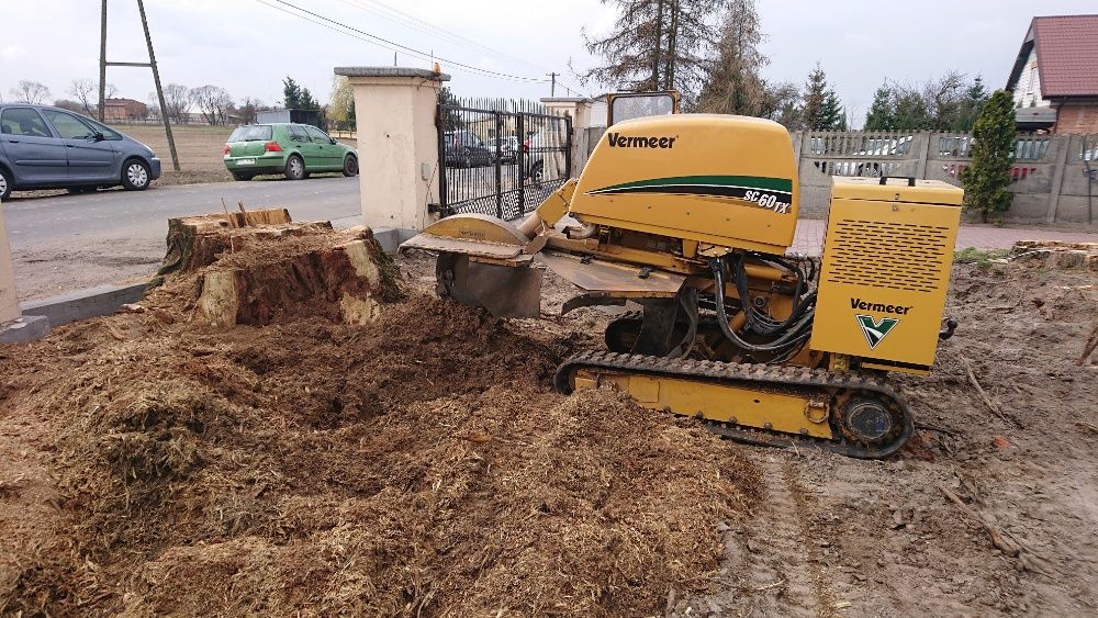 Usuwanie Frezowanie Pni Karczowanie Frezarka Karp Korzeni Drzew