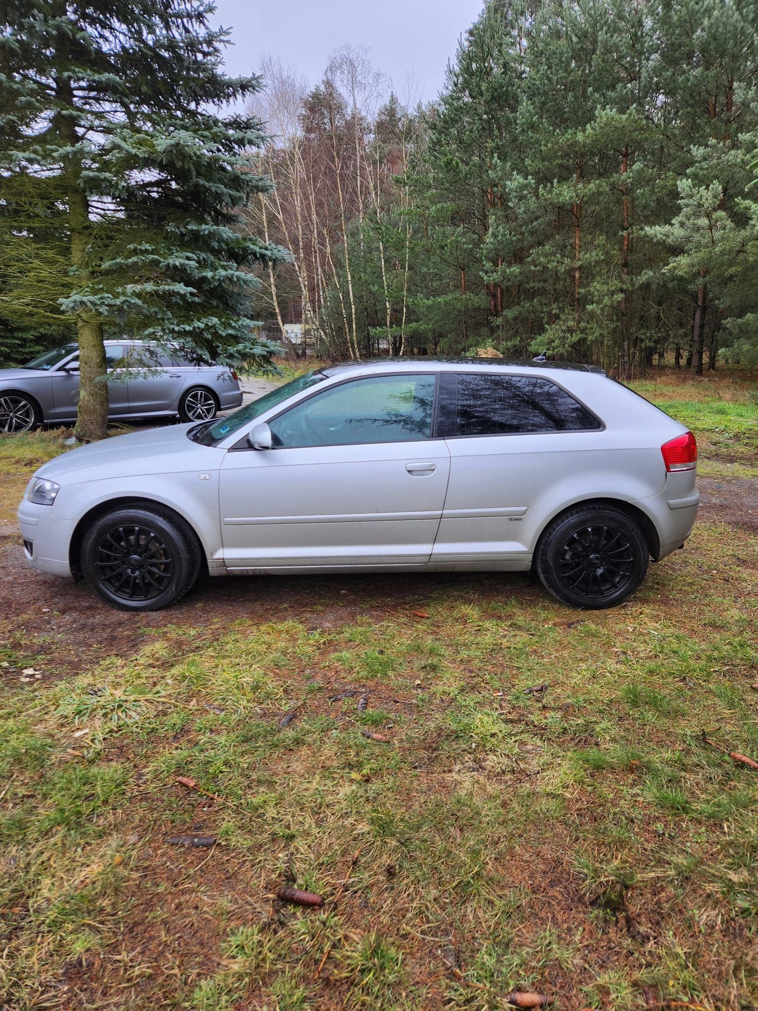 Audi A3-2006r.1.9 TDI