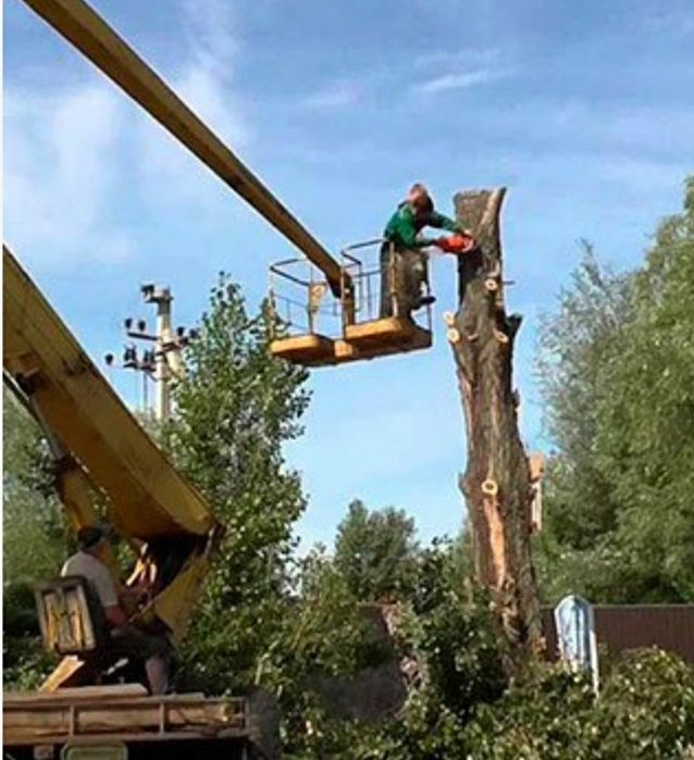 Зрізання аварійних дерев оренда подрібнювача гілля-пнів демонтаж спору