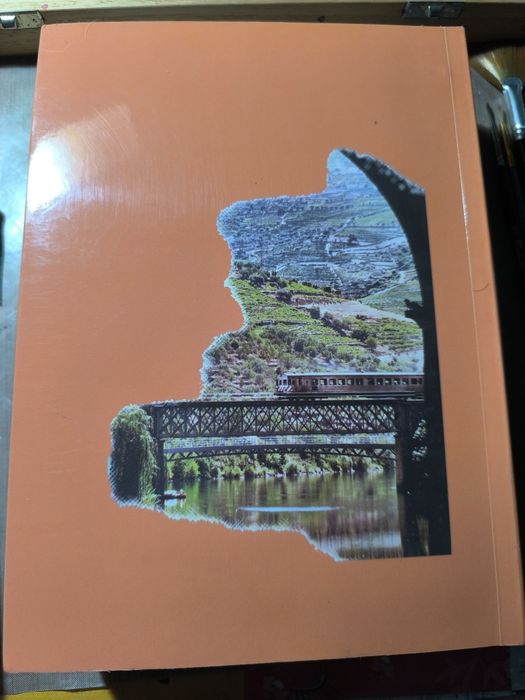 Pronunciação Fenomenológica - Fernando Pereira Martins