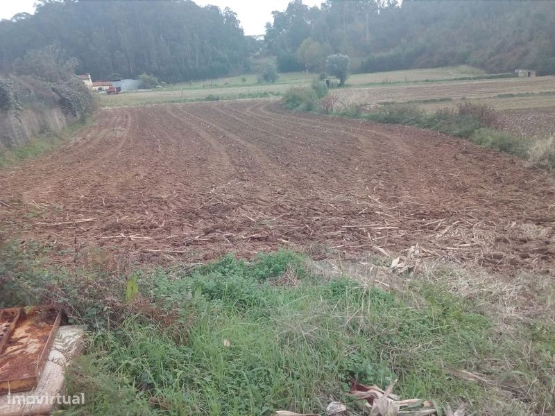 Terreno com viabilidade de construção em Oliveira de Azeméis