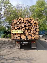 Распродажа остатков дров заготовки  2023 года цена  супер . Доставка .