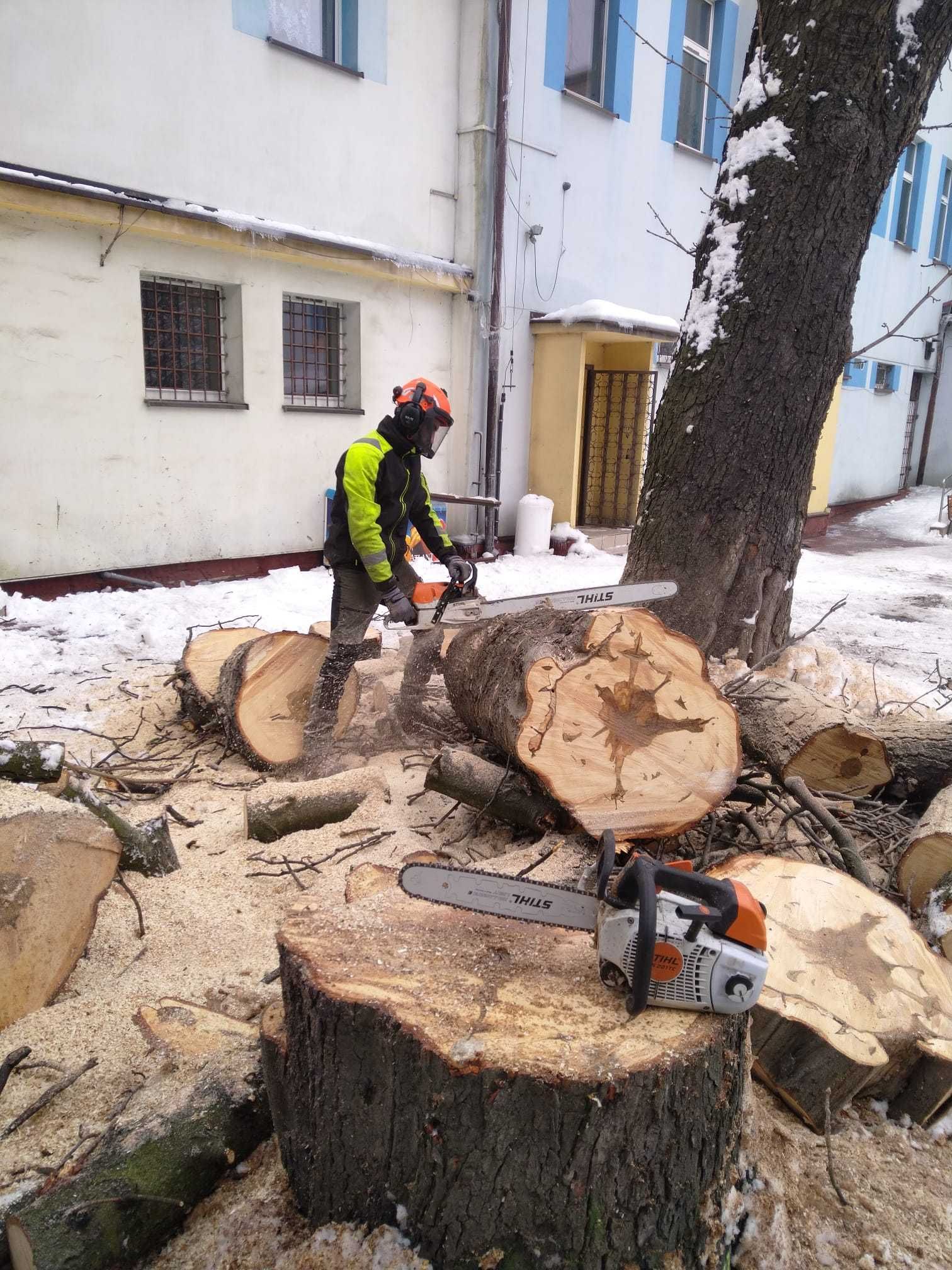 WYCINKA DRZEW metodą alpinistyczną, pielęgnacja korony, frezowanie pni