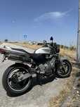 Hornet 600 25kw