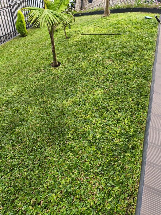 Serviços jardinagem