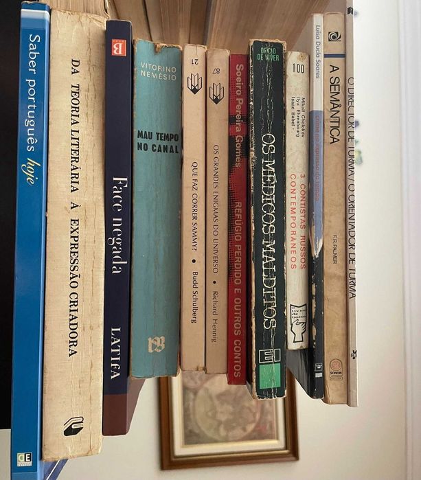 Livros variados em português