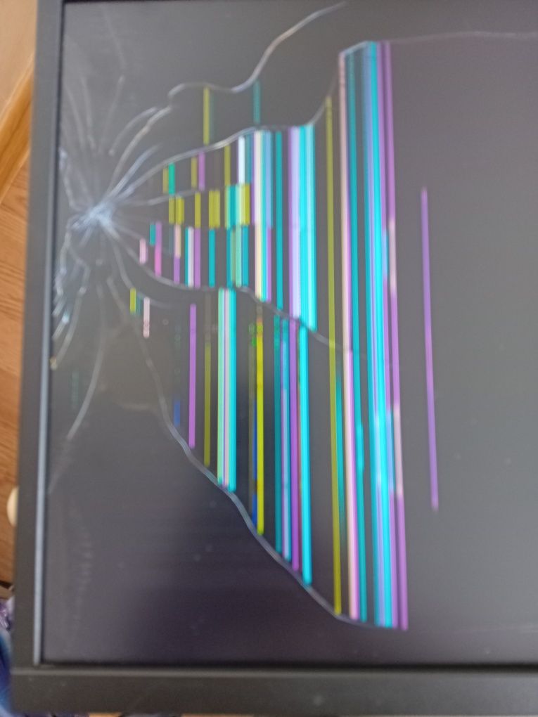 Monitor Dell P2217 H uszkodzony