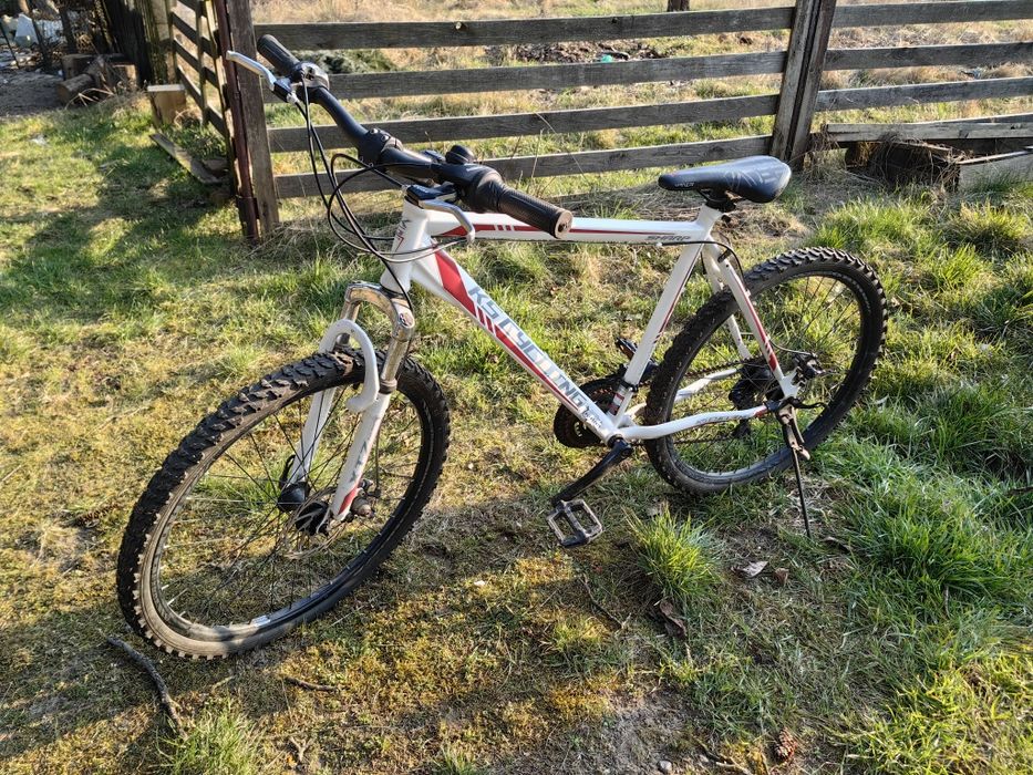 Rower KSCycling Sharp