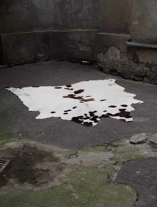 Skóra bydlęca vintage – 210x230 cm