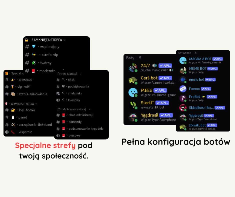 Profesjonalny serwer Discord • Szablon / Full Custom / Boty