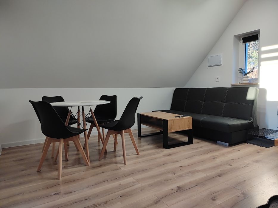 Apartament pod Sysunią na wyłączność,Kudowa, Góry Stołowe,Polanica