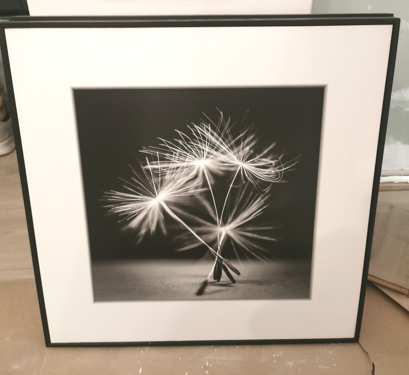 Obraz jezioro/ dmuchawce czarno biały Artbox 50,5x50,5