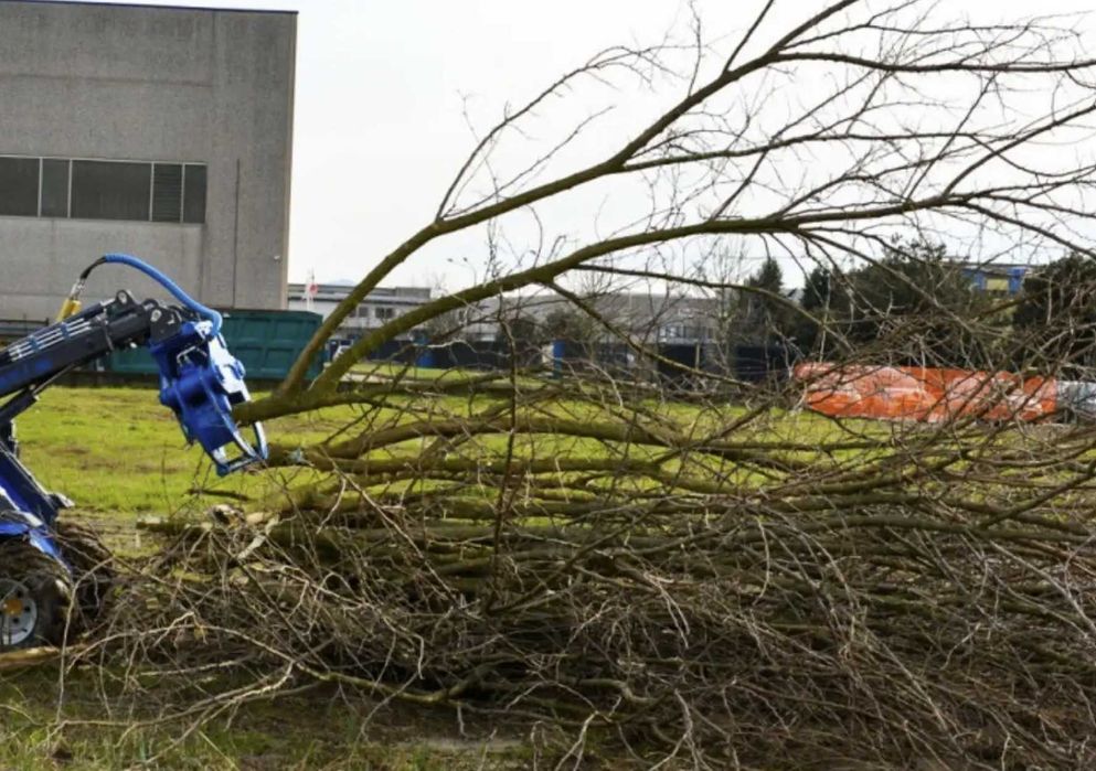 Wynajmij nożyce (szczęki) do wycinania drzew z Avant lub MultiOne 8.5