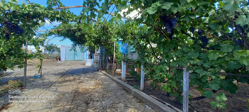 Продам будинок. село Дмитрівка Березанський район
