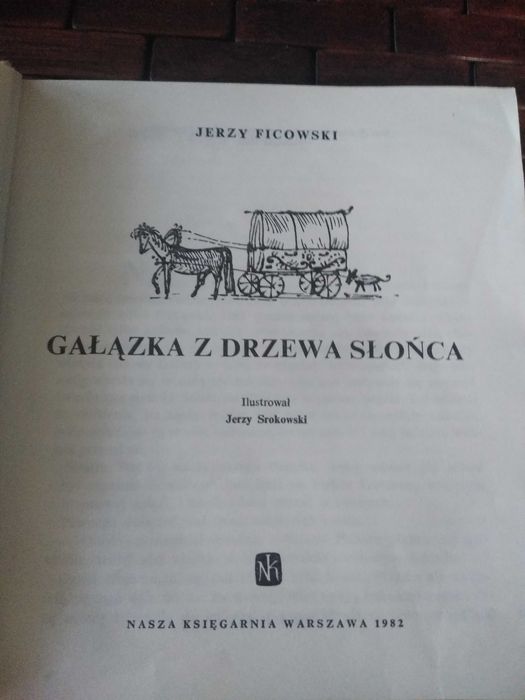 Ficowski gałązka z drzewa słońca