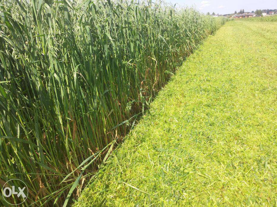 koszenie trawy nieuzytków uługi rolnicze komunalne oranie warszawa