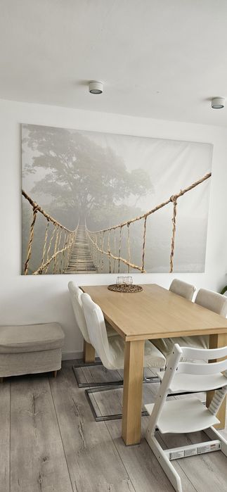 Ikea obraz 200/140 Podróż przez  dżunglę