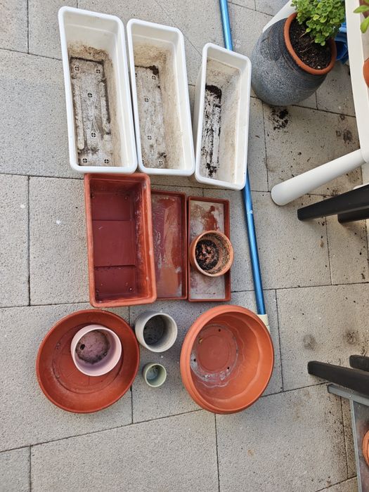 Conjunto de vaso